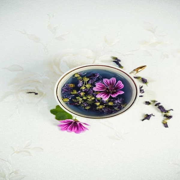 پنیرک برای پوست