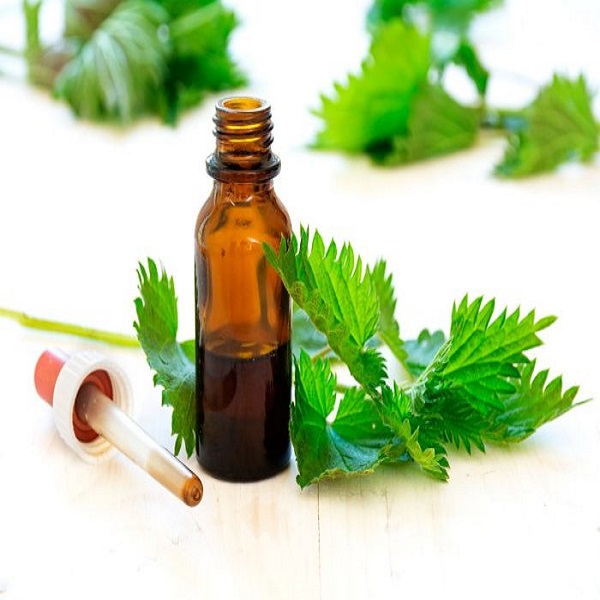 روغن گزنه موثر در رشد مو