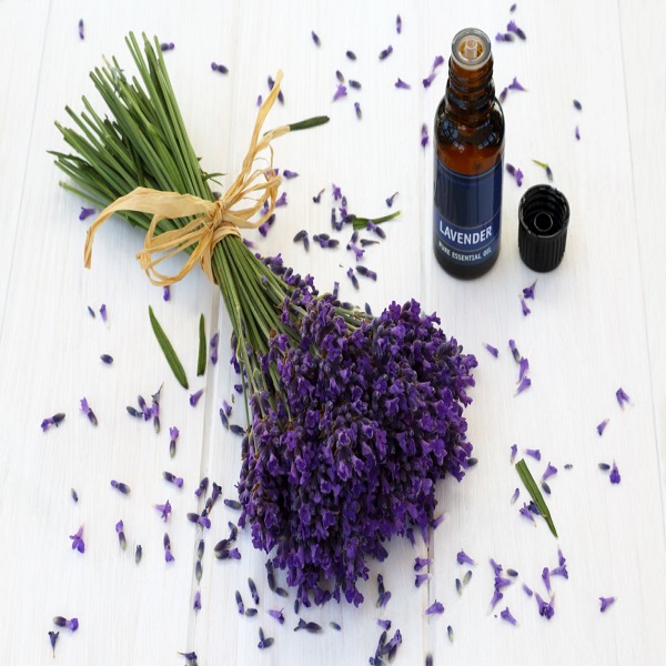 روغن اسطوخودوس روغن اسطوخودوس