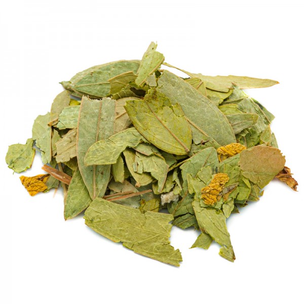 برگ سنا برگ سنا