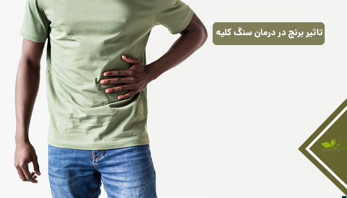 تاثیر برنج در درمان سنگ کلیه