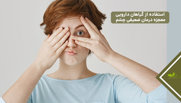 استفاده از گیاهان دارویی: معجزه درمان ضعیفی چشم