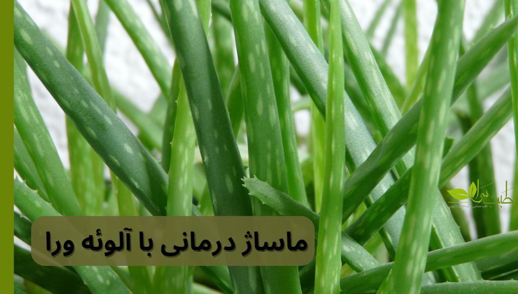 ماساژ درمانی با آلوئه ورا