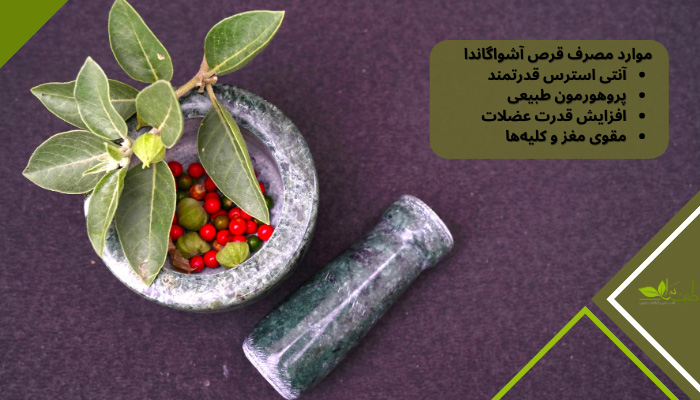 موارد مصرف قرص آشواگاندا: آنتی استرس قدرتمند، پروهورمون طبیعی، افزایش قدرت عضلات و مقوی مغز و کلیه‌ها