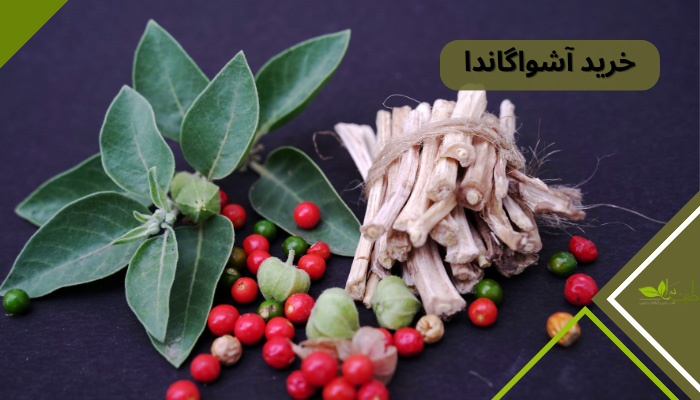 خرید آشواگاندا: شما می‌توانید قرص آشواگاندا که شامل عصاره خشک آشواگاندا است را از مجموعه طبیب سرا با قیمت مناسب و امکان ارسال به سراسر ایران تهیه نمایید.