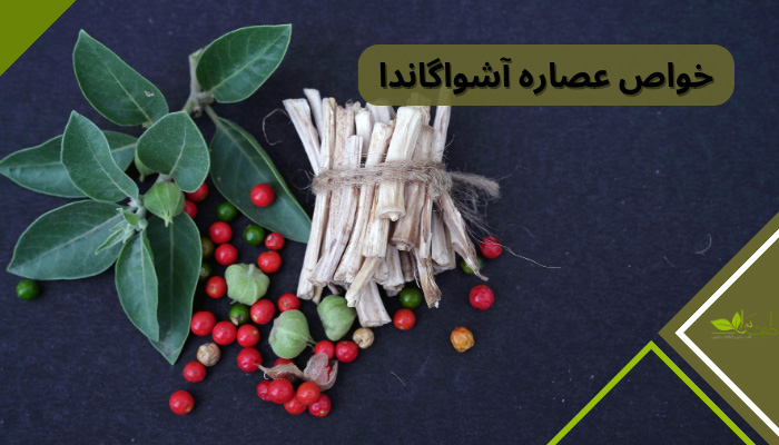 خواص عصاره آشواگاندا: جینسینگ هندی، آشواگاندا یا گیلاس زمستانی یکی از گیاهان مفیدی است که برای درمان و پیشگیری بسیاری از بیماری‌ها به کار می‌رود.