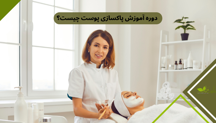 دوره آموزش پاکسازی پوست چیست؟ دوره آموزش پاکسازی پوست چیست؟