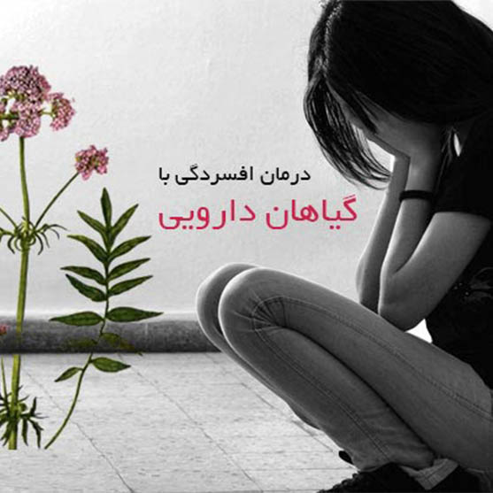 درمان افسردگی با گیاهان دارویی درمان افسردگی با گیاهان دارویی