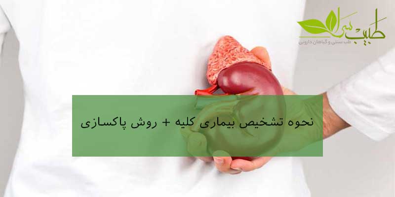 نحوه تشخیص بیماری کلیه نحوه تشخیص بیماری کلیه