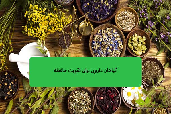 گیاهان دارویی برای تقویت حافظه گیاهان دارویی برای تقویت حافظه