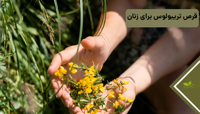 قرص تریبولوس برای زنان
